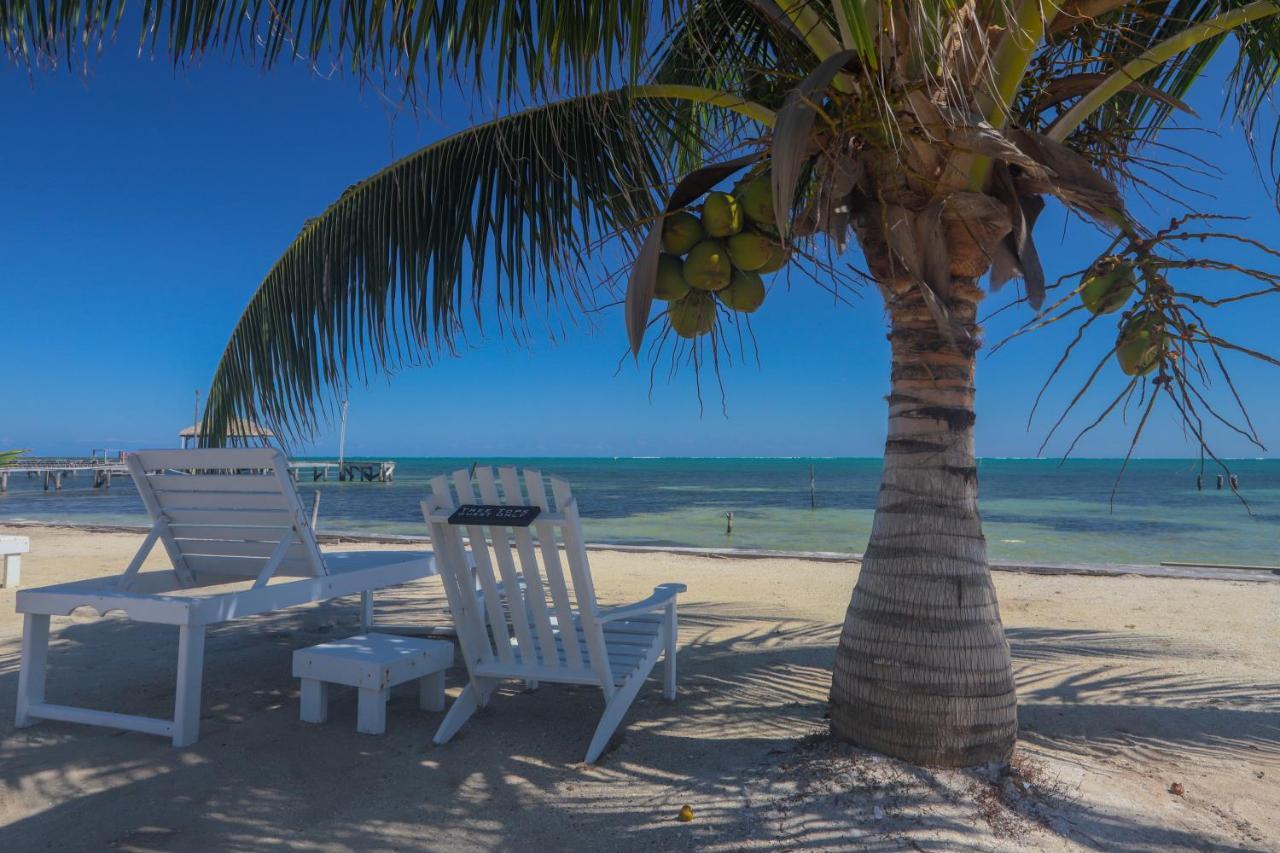 Treetops Hotel Caye Caulker Exterior foto